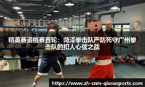 球速体育官方网站